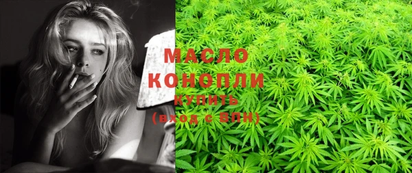 индика Снежинск
